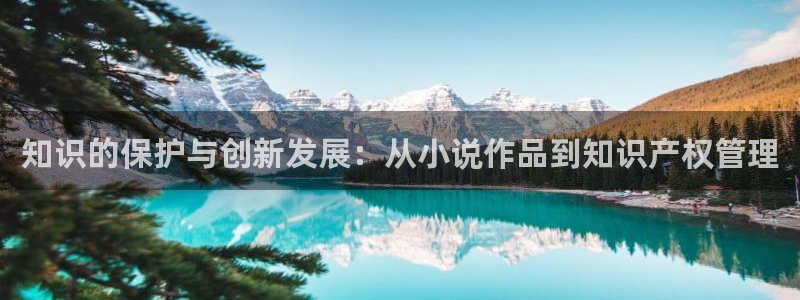 搜书吧官网