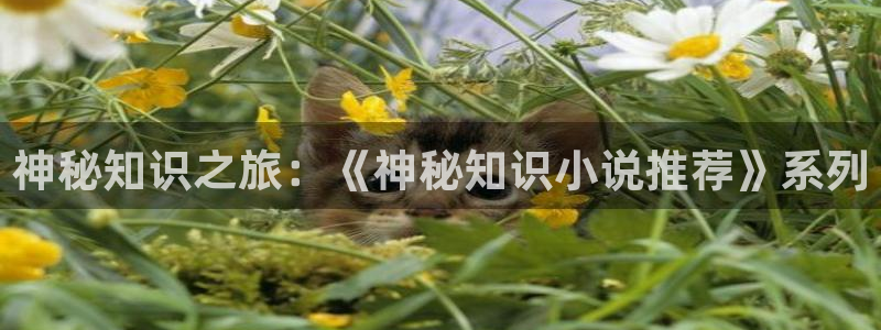 搜索 - 搜书吧 - 手机版 - powered by discuz!